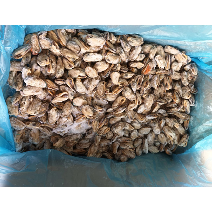 Greenshell Mussels