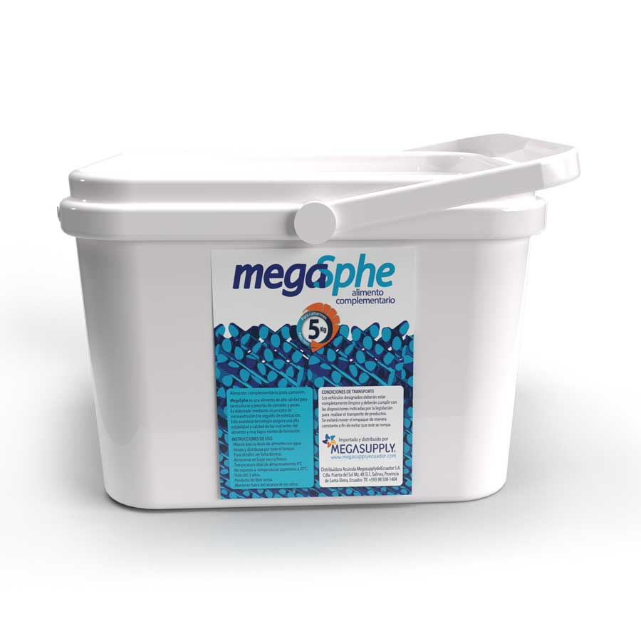 Megasphe